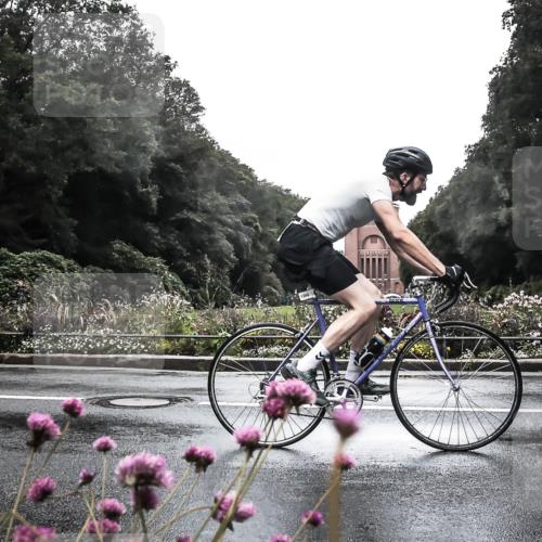 13.09.2026 - Stadtparktriathlon H.Heesch http://msf.ph/oto/10290931 13.09.2026 13:05:07 Radfahren 1284, 1306, 1333, 1386, 1409, 1410 meine-sportfotos.de