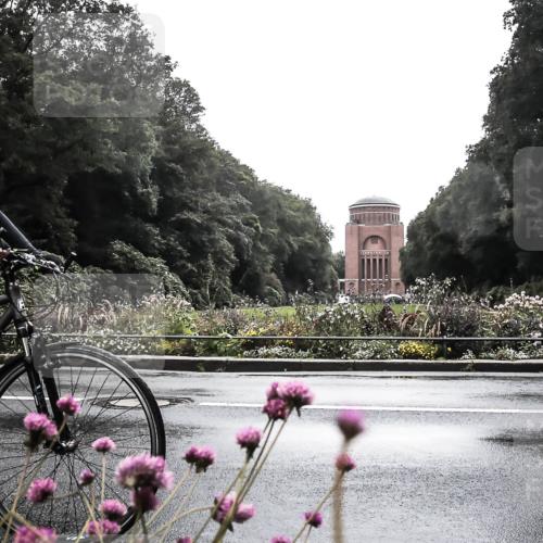 13.09.2026 - Stadtparktriathlon H.Heesch http://msf.ph/oto/10291128 13.09.2026 13:06:52 Radfahren 1270, 1277, 1281, 1327, 1353, 1391, 1406 meine-sportfotos.de