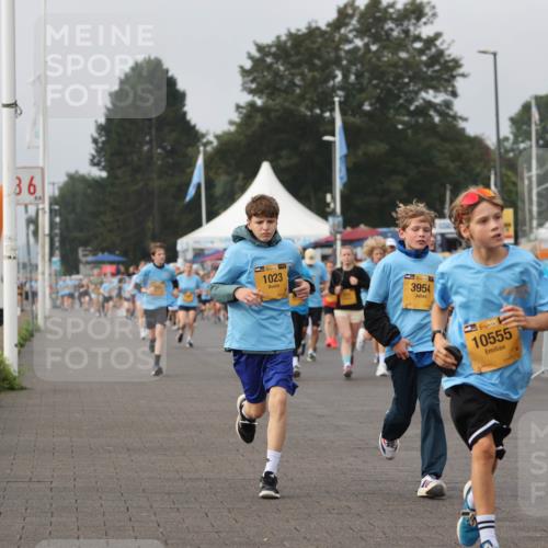 13.09.2026 - Kiel Lauf Andreas Tolksdorf http://msf.ph/oto/10291229 13.09.2026 09:25:14 Kiellinie 36, 39, 1023, 3954, 39, 10555, 11721, 1237 meine-sportfotos.de