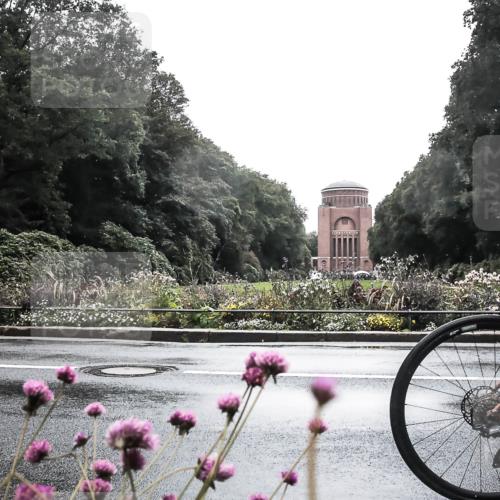 13.09.2026 - Stadtparktriathlon H.Heesch http://msf.ph/oto/10291310 13.09.2026 13:07:47 Radfahren 1194, 1249, 1292, 1310, 1423, 1428 meine-sportfotos.de