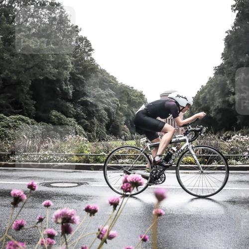 13.09.2026 - Stadtparktriathlon H.Heesch http://msf.ph/oto/10291467 13.09.2026 13:08:39 Radfahren 1212, 1214, 1237, 1239, 1294, 1376 meine-sportfotos.de