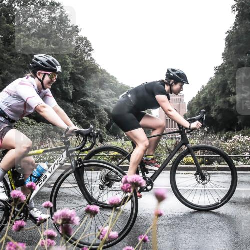 13.09.2026 - Stadtparktriathlon H.Heesch http://msf.ph/oto/10291749 13.09.2026 13:10:21 Radfahren 1229, 1255, 1262, 1326, 1375, 1405 meine-sportfotos.de