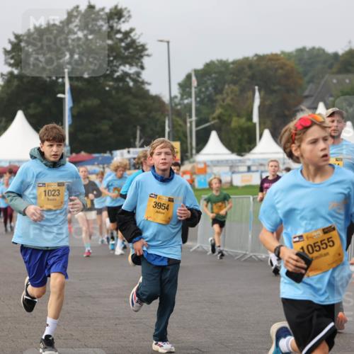 13.09.2026 - Kiel Lauf Andreas Tolksdorf http://msf.ph/oto/10293896 13.09.2026 09:25:15 Kiellinie 38, 1023, 48, 3954, 3844, 10555, 3416 meine-sportfotos.de