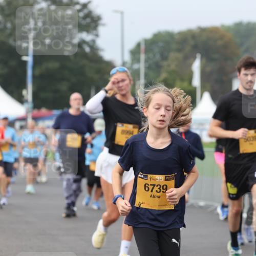 13.09.2026 - Kiel Lauf Andreas Tolksdorf http://msf.ph/oto/10294148 13.09.2026 09:26:12 Kiellinie 5039, 138, 6739, 5, 1, 02 meine-sportfotos.de