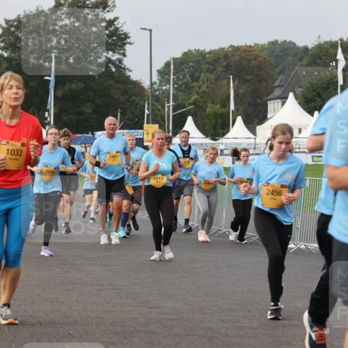 13.09.2026 - Kiel Lauf Andreas Tolksdorf http://msf.ph/oto/10294448 13.09.2026 09:26:57 Kiellinie 958, 1033, 3974, 7461, 7213, 3209, 2456 meine-sportfotos.de