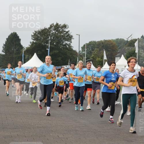 13.09.2026 - Kiel Lauf Andreas Tolksdorf http://msf.ph/oto/10294708 13.09.2026 09:27:51 Kiellinie 36, 2870, 3361, 7308, 3723, 6829, 11047, 8540, 10946 meine-sportfotos.de