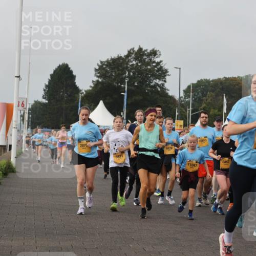 13.09.2026 - Kiel Lauf Andreas Tolksdorf http://msf.ph/oto/10294733 13.09.2026 09:27:54 Kiellinie 36, 2876, 8833, 6829, 10913, 11047, 6857, 3361, 7308, 3550 meine-sportfotos.de
