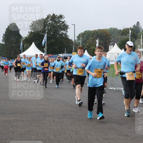 13.09.2026 - Kiel Lauf Andreas Tolksdorf http://msf.ph/oto/10295411 13.09.2026 09:29:18 Kiellinie 36, 11445, 2811, 2816, 11652, 11954, 9616, 8128, 190, 12493 meine-sportfotos.de