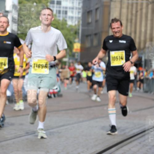 13.09.2026 - 21. swb-Marathon Bremen Strokosch-Dieckow http://msf.ph/oto/10297930 13.09.2026 10:49:21 Ziel 10253, 10293, 10392, 10566, 11316, 11891, 12027, 12132, 12149, 12204, 12350, 12450, 12529, 13555, 10739, 10835, 10846, 10910, 11092, 11191, 11635, 12376 meine-sportfotos.de