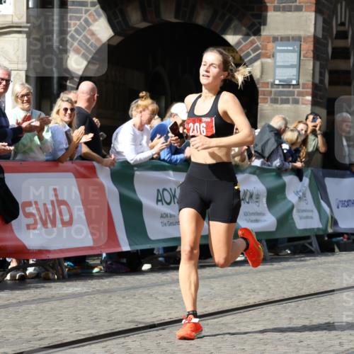 13.09.2026 - 21. swb-Marathon Bremen Strokosch-Dieckow http://msf.ph/oto/10298458 13.09.2026 12:43:04 Ziel 206, 236 meine-sportfotos.de