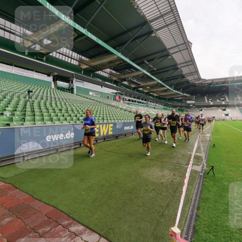 13.09.2026 - 21. swb-Marathon Bremen Michael Burmester http://msf.ph/oto/10300054 13.09.2026 10:38:39 Laufen im Stadion 10090, 10091, 10135, 10138, 10139, 10150, 10168, 10188, 10190, 10204, 10205, 10217, 10229, 10238, 10259, 10260, 10273, 10274, 10283, 10305, 10314, 10315, 10323, 10360, 10363, 10364, 10370, 10375, 10376, 10378, 10404, 10432, 10444, 10457, 10465, 10469, 10488, 10505, 10510, 10511, 10516, 10526, 10595, 10598, 10609, 10619, 10630, 10645, 10654, 10661, 10662, 10664, 10674, 10681, 10682, 10686, 10695, 10697, 10802, 10823 meine-sportfotos.de