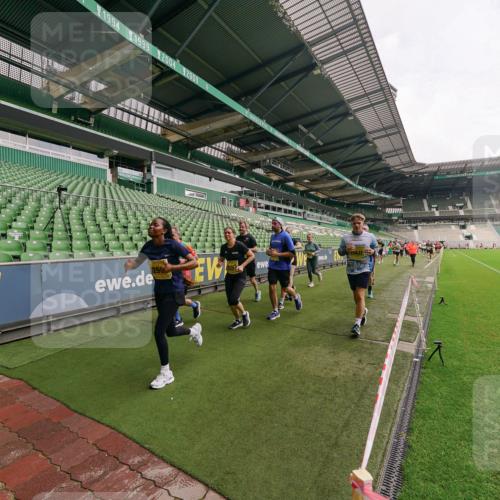 13.09.2026 - 21. swb-Marathon Bremen Michael Burmester http://msf.ph/oto/10300078 13.09.2026 10:38:43 Laufen im Stadion 10090, 10091, 10135, 10138, 10139, 10150, 10168, 10188, 10190, 10204, 10205, 10217, 10229, 10238, 10259, 10260, 10273, 10274, 10283, 10305, 10314, 10315, 10323, 10360, 10363, 10364, 10370, 10375, 10376, 10378, 10404, 10432, 10457, 10465, 10469, 10488, 10505, 10510, 10511, 10526, 10595, 10598, 10609, 10619, 10630, 10645, 10654, 10661, 10662, 10664, 10674, 10681, 10682, 10686, 10695, 10697, 10802, 10823 meine-sportfotos.de
