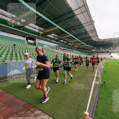 13.09.2026 - 21. swb-Marathon Bremen Michael Burmester http://msf.ph/oto/10300159 13.09.2026 10:39:01 Laufen im Stadion 10090, 10091, 10135, 10138, 10139, 10168, 10188, 10190, 10204, 10205, 10217, 10229, 10238, 10259, 10260, 10273, 10274, 10279, 10280, 10283, 10305, 10314, 10323, 10360, 10363, 10364, 10370, 10375, 10376, 10378, 10404, 10432, 10457, 10465, 10469, 10488, 10493, 10501, 10505, 10510, 10511, 10526, 10556, 10576, 10580, 10595, 10609, 10616, 10619, 10630, 10645, 10654, 10660, 10661, 10662, 10664, 10681, 10682, 10686, 10695, 10697, 10712, 10743, 10802, 10823 meine-sportfotos.de