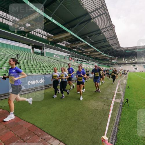 13.09.2026 - 21. swb-Marathon Bremen Michael Burmester http://msf.ph/oto/10300689 13.09.2026 10:41:25 Laufen im Stadion 10155, 10156, 10163, 10169, 10213, 10247, 10299, 10313, 10321, 10354, 10386, 10399, 10406, 10414, 10417, 10419, 10422, 10424, 10435, 10455, 10461, 10462, 10483, 10519, 10527, 10545, 10546, 10547, 10570, 10582, 10586, 10599, 10611, 10644, 10653, 10694, 10696, 10705, 10706, 10719, 10722, 10751, 10766, 10768, 10776, 10804, 10859, 10889, 10909, 10963, 10977, 11043, 11048, 11084, 11085, 11239 meine-sportfotos.de