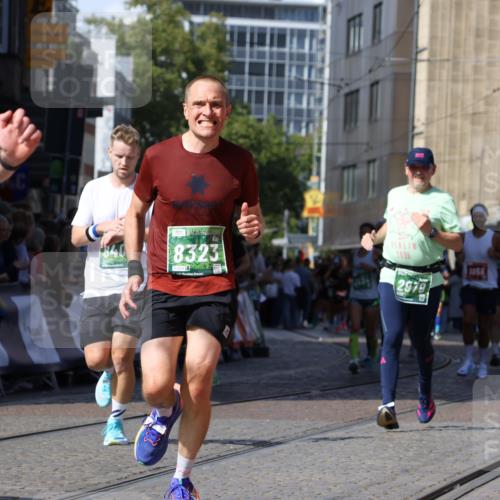 13.09.2026 - 21. swb-Marathon Bremen Strokosch-Dieckow http://msf.ph/oto/10300709 13.09.2026 13:21:09 Ziel 541, 769, 876, 1056, 1881, 2425, 2640, 3356, 3866, 4126, 4316, 4465, 4482, 4612, 5161, 5213, 5954, 6177, 6401, 6680, 7517, 7902, 8005, 8141, 8804, 8971, 9691, 13126, 226, 2979, 3534, 4234, 4445, 4484, 4519, 8323, 8408, 8791, 9514, 9900 meine-sportfotos.de