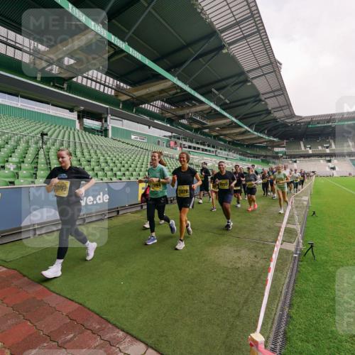 13.09.2026 - 21. swb-Marathon Bremen Michael Burmester http://msf.ph/oto/10300715 13.09.2026 10:41:30 Laufen im Stadion 10148, 10155, 10156, 10163, 10169, 10213, 10247, 10299, 10313, 10321, 10354, 10395, 10396, 10399, 10406, 10414, 10417, 10419, 10422, 10424, 10435, 10455, 10461, 10462, 10483, 10519, 10527, 10545, 10546, 10547, 10570, 10582, 10586, 10611, 10644, 10694, 10696, 10705, 10706, 10719, 10722, 10751, 10766, 10768, 10776, 10804, 10859, 10889, 10909, 10963, 10977, 11043, 11048, 11084, 11085, 11097, 11098, 11239 meine-sportfotos.de