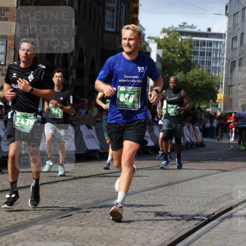 13.09.2026 - 21. swb-Marathon Bremen Strokosch-Dieckow http://msf.ph/oto/10301233 13.09.2026 13:21:32 Ziel 226, 1191, 2979, 3450, 3534, 4234, 4362, 4445, 4484, 4519, 4734, 6357, 6970, 8237, 8323, 8408, 8791, 9267, 9268, 9900, 13120, 572, 1130, 1254, 2088, 2397, 2570, 3290, 3435, 3695, 3930, 3934, 4735, 5542, 6865, 7176, 8384, 9059, 9421, 13145 meine-sportfotos.de