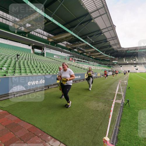 13.09.2026 - 21. swb-Marathon Bremen Michael Burmester http://msf.ph/oto/10301949 13.09.2026 10:52:09 Laufen im Stadion 10317, 10387, 10533, 10534, 10573, 10650, 10967, 10968, 11017, 11025, 11161, 11195, 11341, 11352, 11444, 11496, 11538, 11807, 12377, 12408, 12535, 12546, 10264, 10292, 10407, 10413, 10440, 10732, 10754, 10789, 10925, 11104, 11254, 11262, 11423, 11443, 11541, 11663, 11698, 11712, 11851, 11942, 11980, 12083, 12340, 12444, 12471, 12472, 12542, 12561 meine-sportfotos.de