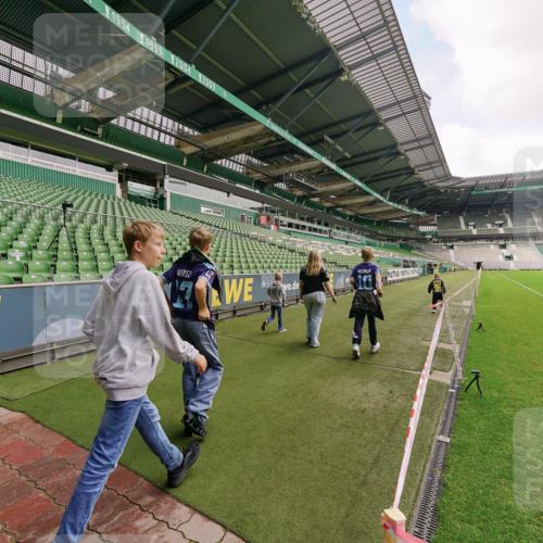 13.09.2026 - 21. swb-Marathon Bremen Michael Burmester http://msf.ph/oto/10302076 13.09.2026 11:20:33 Laufen im Stadion  meine-sportfotos.de