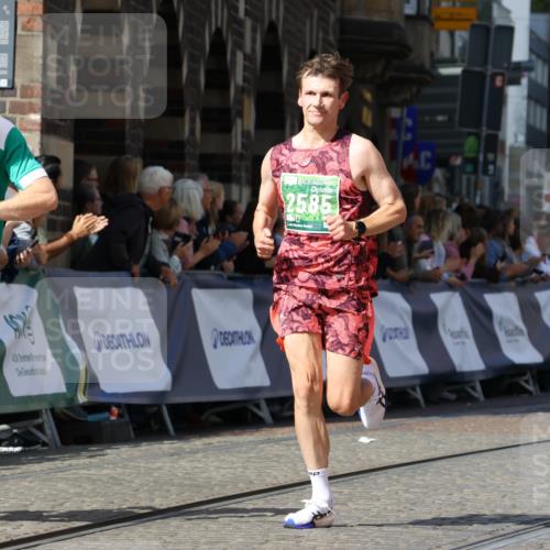 13.09.2026 - 21. swb-Marathon Bremen Strokosch-Dieckow http://msf.ph/oto/10302318 13.09.2026 12:53:10 Ziel 417, 553, 2100, 7244, 8077, 8729, 9522, 2585, 2670, 8081 meine-sportfotos.de