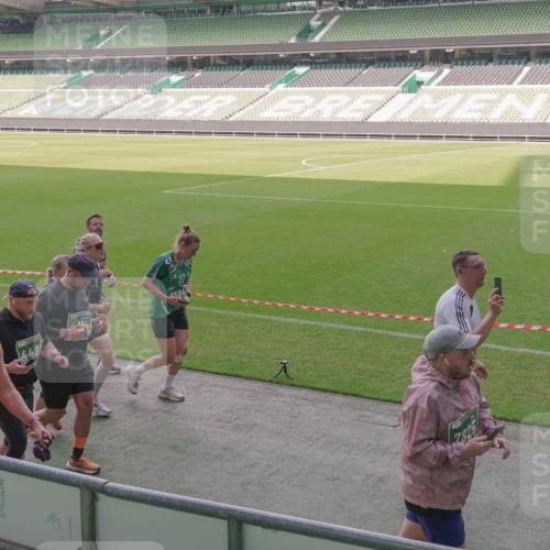 13.09.2026 - 21. swb-Marathon Bremen Michael Burmester http://msf.ph/oto/10305039 13.09.2026 13:36:24 Laufen im Stadion 444, 462, 491, 496, 590, 657, 799, 1015, 1132, 1135, 1279, 1396, 1432, 1620, 1726, 1762, 1887, 1934, 1951, 1965, 1974, 1977, 2078, 2227, 2335, 2578, 2639, 2650, 2688, 2789, 2842, 2892, 2894, 2933, 2939, 3090, 3161, 3169, 3178, 3299, 3303, 3406, 3408, 3463, 3472, 3498, 3555, 3570, 3573, 3588, 3640, 3731, 3779, 3801, 3839, 3985, 3992, 3993, 4084, 4145, 4200, 4210, 4290, 4464, 4538, 4546, 4801, 4880, 4967, 5000, 5034, 5182, 5332, 5461, 5679, 5818 meine-sportfotos.de