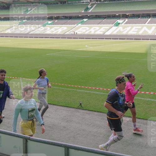 13.09.2026 - 21. swb-Marathon Bremen Michael Burmester http://msf.ph/oto/10305981 13.09.2026 13:37:37 Laufen im Stadion 144, 284, 360, 398, 410, 421, 444, 491, 590, 756, 799, 848, 971, 983, 1132, 1135, 1279, 1620, 1734, 1762, 1887, 1934, 1951, 2060, 2078, 2227, 2376, 2639, 2642, 2687, 2772, 2842, 2892, 2925, 2926, 2939, 3169, 3178, 3299, 3303, 3408, 3427, 3499, 3570, 3640, 3646, 3731, 3779, 3839, 3919, 3985, 3992, 3993, 4084, 4147, 4148, 4210, 4252, 4314, 4416, 4464, 4538, 4767, 4801, 4845, 4863, 4939, 5034, 5138, 5145, 5166, 5182, 5210, 5453, 5461, 5536, 5679, 6309, 170 meine-sportfotos.de