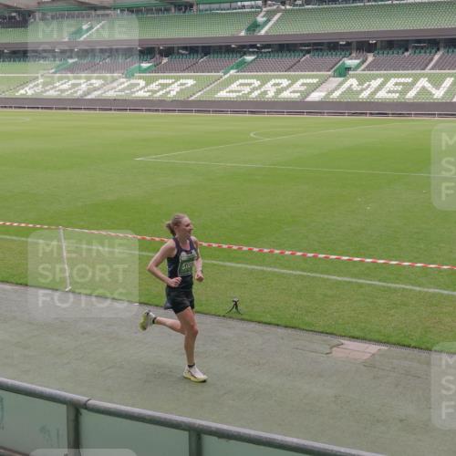 13.09.2026 - 21. swb-Marathon Bremen Michael Burmester http://msf.ph/oto/10307757 13.09.2026 12:37:52 Laufen im Stadion 277, 346, 466, 658, 895, 1090, 1118, 1320, 1323, 1385, 1485, 1583, 1604, 1754, 1911, 2073, 2141, 2352, 2585, 2670, 3080, 3606, 3617, 6112, 7244, 7650, 7768, 8077, 8081, 8729, 9399, 9522, 9617, 250, 272, 299, 525, 919, 1089, 1212, 2072, 5428, 7741 meine-sportfotos.de