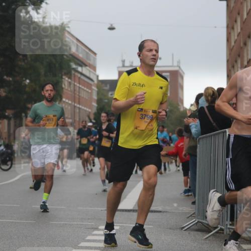 13.09.2026 - Kiel Lauf Markus Tischler http://msf.ph/oto/10308046 13.09.2026 10:31:58 Fleethörn 813, 39, 3799 meine-sportfotos.de