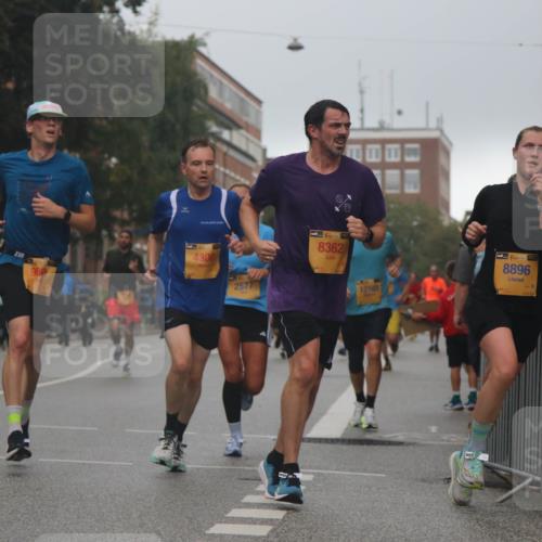 13.09.2026 - Kiel Lauf Markus Tischler http://msf.ph/oto/10308125 13.09.2026 10:32:08 Fleethörn 4300, 2577, 38, 8362, 12169, 38, 8896 meine-sportfotos.de
