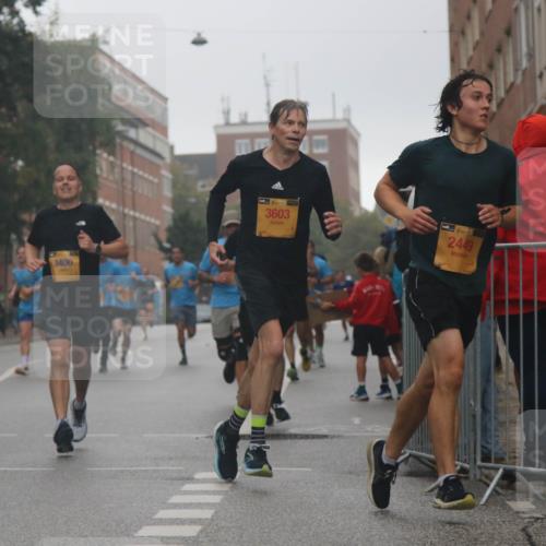 13.09.2026 - Kiel Lauf Markus Tischler http://msf.ph/oto/10308837 13.09.2026 10:33:19 Fleethörn 4449, 3400, 3603, 2449 meine-sportfotos.de