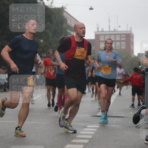 13.09.2026 - Kiel Lauf Markus Tischler http://msf.ph/oto/10309034 13.09.2026 10:33:34 Fleethörn 38, 2390, 2687, 38, 5386 meine-sportfotos.de
