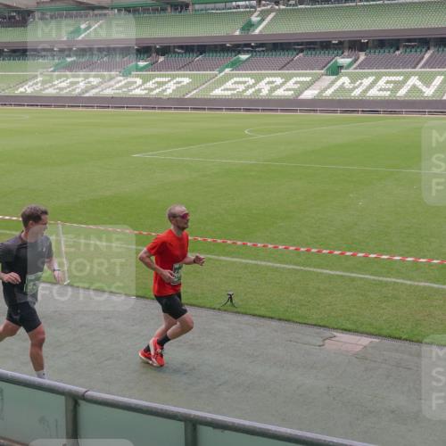 13.09.2026 - 21. swb-Marathon Bremen Michael Burmester http://msf.ph/oto/10309195 13.09.2026 12:42:18 Laufen im Stadion 371, 439, 650, 744, 749, 957, 1009, 1223, 1224, 1336, 1381, 1411, 1562, 1614, 1619, 1667, 1712, 1745, 1797, 1822, 1850, 1862, 1879, 2094, 2207, 2651, 2986, 3251, 3368, 3584, 3624, 4096, 4399, 4795, 4847, 4936, 5663, 5672, 5828, 6198, 6264, 6929, 6991, 7141, 8065, 8311, 8383, 8394, 8994, 9065, 9120, 9533, 277, 346, 807, 895, 901, 1118, 1248, 1320, 1323, 1472, 1576, 1587, 1604, 1717, 1751, 1911, 2141, 2352, 2670, 3080, 3606, 5160, 5163, 5912, 6112, 7650 meine-sportfotos.de