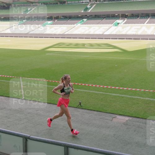 13.09.2026 - 21. swb-Marathon Bremen Michael Burmester http://msf.ph/oto/10310818 13.09.2026 12:45:44 Laufen im Stadion 195, 280, 339, 474, 493, 508, 538, 567, 681, 697, 715, 788, 1017, 1034, 1181, 1241, 1264, 1277, 1301, 1335, 1696, 1863, 1937, 1975, 2020, 2084, 2087, 2297, 2889, 3092, 3271, 3609, 4110, 4118, 4157, 4328, 5024, 5092, 5238, 5283, 5674, 5719, 5996, 6918, 6973, 7206, 7265, 7336, 7478, 7715, 8054, 8096, 8319, 8325, 8331, 8670, 8701, 8756, 8936, 9070, 9129, 9273, 9306, 9495, 9583, 9642, 13168, 439, 1411, 1667, 1822 meine-sportfotos.de