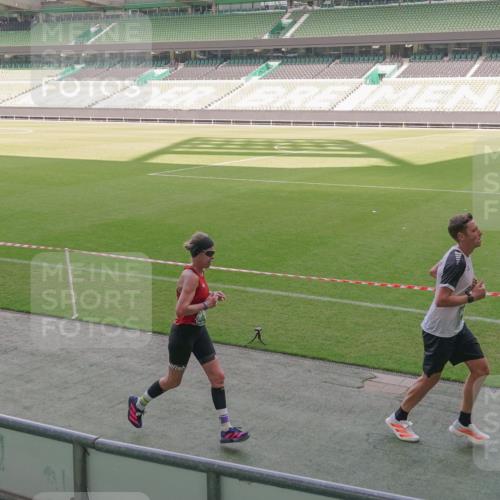 13.09.2026 - 21. swb-Marathon Bremen Michael Burmester http://msf.ph/oto/10310869 13.09.2026 12:45:47 Laufen im Stadion 195, 280, 339, 474, 493, 508, 538, 567, 681, 697, 715, 788, 1017, 1034, 1181, 1241, 1264, 1277, 1301, 1335, 1696, 1863, 1937, 1975, 2020, 2084, 2087, 2297, 2809, 2889, 3092, 3271, 3609, 4110, 4118, 4157, 4328, 5024, 5092, 5238, 5283, 5674, 5719, 5996, 6918, 6973, 7206, 7265, 7336, 7478, 7715, 8054, 8096, 8319, 8325, 8331, 8670, 8701, 8756, 8936, 9070, 9129, 9273, 9306, 9495, 9583, 9642, 13168, 439, 1411, 1667, 1822 meine-sportfotos.de
