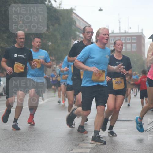 13.09.2026 - Kiel Lauf Markus Tischler http://msf.ph/oto/10312279 13.09.2026 10:38:38 Fleethörn 39, 6397, 11598, 12023, 5568 meine-sportfotos.de
