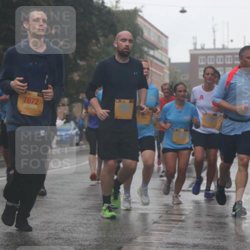 13.09.2026 - Kiel Lauf Markus Tischler http://msf.ph/oto/10313995 13.09.2026 10:41:58 Fleethörn 1, 39, 1, 39, 7872, 4422, 25, 1277 meine-sportfotos.de