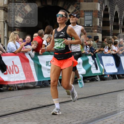 13.09.2026 - 21. swb-Marathon Bremen Strokosch-Dieckow http://msf.ph/oto/10314886 13.09.2026 13:06:01 Ziel 1017, 1301, 1562, 1745, 1879, 2538, 3242, 3271, 3520, 4157, 5199, 5725, 6025, 6579, 8706, 8973, 9010, 681, 1901, 3297, 3466, 4614, 6686, 7336, 8670, 9429 meine-sportfotos.de
