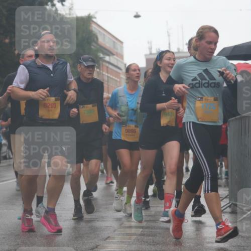 13.09.2026 - Kiel Lauf Markus Tischler http://msf.ph/oto/10314889 13.09.2026 10:43:36 Fleethörn 9727, 38, 8203, 1, 38, 7889, 9895, 4, 38, 1725 meine-sportfotos.de