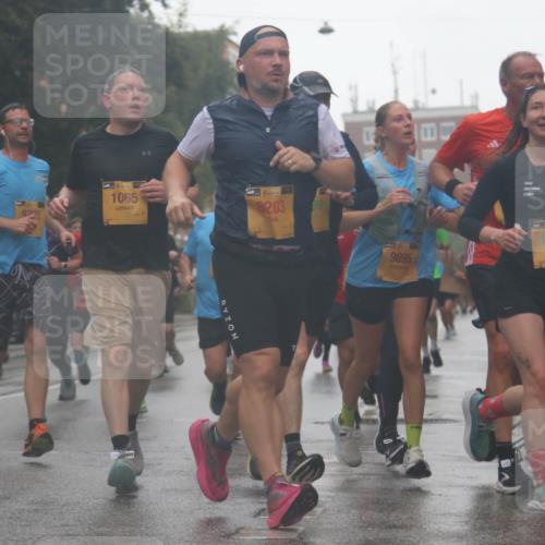 13.09.2026 - Kiel Lauf Markus Tischler http://msf.ph/oto/10314903 13.09.2026 10:43:36 Fleethörn 9737, 39, 1065, 39, 8203, 9895, 9429 meine-sportfotos.de