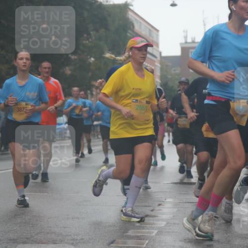 13.09.2026 - Kiel Lauf Markus Tischler http://msf.ph/oto/10315481 13.09.2026 10:44:42 Fleethörn 387, 39, 2551 meine-sportfotos.de