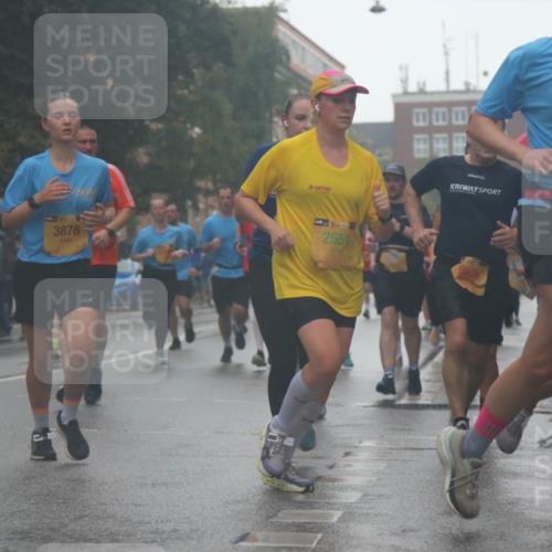 13.09.2026 - Kiel Lauf Markus Tischler http://msf.ph/oto/10315488 13.09.2026 10:44:42 Fleethörn 3878, 38, 2551, 9536, 39 meine-sportfotos.de