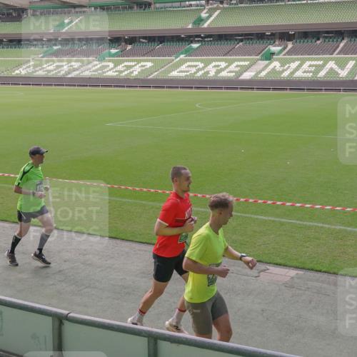 13.09.2026 - 21. swb-Marathon Bremen Michael Burmester http://msf.ph/oto/10315988 13.09.2026 12:50:52 Laufen im Stadion 335, 469, 663, 670, 771, 779, 1125, 1146, 1162, 1455, 1510, 1513, 1517, 1605, 1613, 1970, 1998, 2052, 2130, 2288, 2291, 2295, 2347, 2360, 2442, 2444, 2447, 2750, 2759, 2909, 3440, 3484, 3625, 3647, 3703, 3808, 3959, 4023, 4033, 4165, 4368, 4384, 4473, 4559, 4571, 4582, 4727, 4743, 4781, 4782, 4888, 4895, 5066, 5079, 5111, 5155, 5168, 5314, 5377, 5383, 5521, 5532, 5585, 5620, 5627, 5636, 5696, 6267, 6274, 6471, 6652, 6668, 6901, 6906, 7109, 7115, 7121, 8033, 8798 meine-sportfotos.de