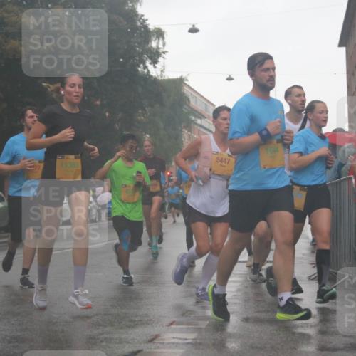 13.09.2026 - Kiel Lauf Markus Tischler http://msf.ph/oto/10316314 13.09.2026 10:46:19 Fleethörn 11383, 5447, 40, 2383 meine-sportfotos.de