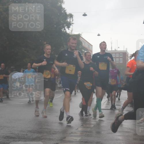 13.09.2026 - Kiel Lauf Markus Tischler http://msf.ph/oto/10317246 13.09.2026 10:47:49 Fleethörn  meine-sportfotos.de