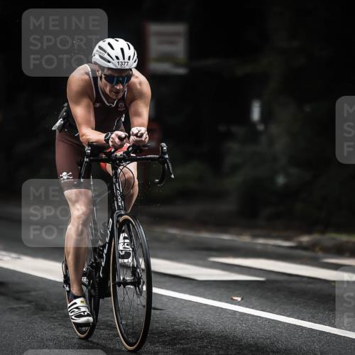 13.09.2026 - Stadtparktriathlon H.Heesch http://msf.ph/oto/10320803 13.09.2026 13:05:38 Radfahren 1198, 1265, 1276, 1352, 1377 meine-sportfotos.de