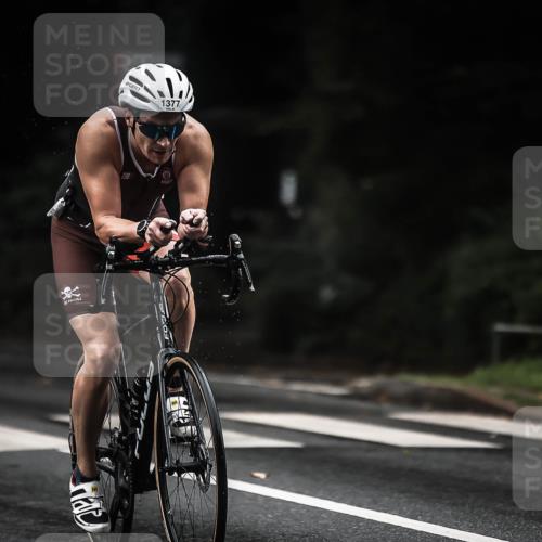 13.09.2026 - Stadtparktriathlon H.Heesch http://msf.ph/oto/10320807 13.09.2026 13:05:38 Radfahren 1198, 1265, 1276, 1352, 1377 meine-sportfotos.de