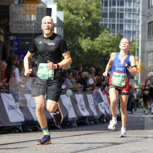 13.09.2026 - 21. swb-Marathon Bremen Strokosch-Dieckow http://msf.ph/oto/10321220 13.09.2026 13:08:49 Ziel 339, 678, 715, 1335, 1696, 4082, 4888, 5424, 7064, 8655, 9084, 9582, 1925, 2287, 3330, 4384, 5517, 5636, 5696, 6906, 7262, 8120, 9867, 9906, 9911 meine-sportfotos.de