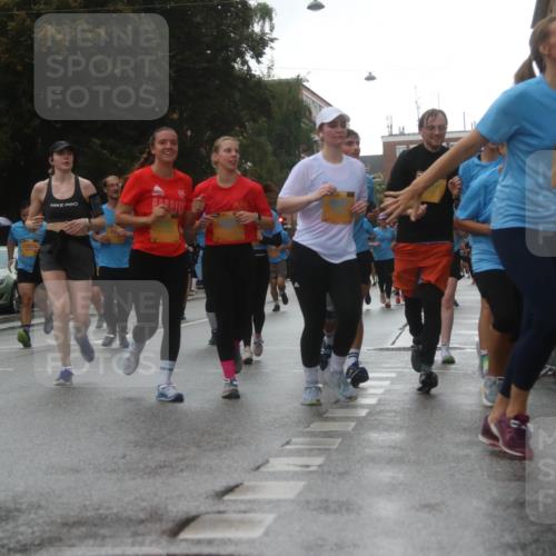 13.09.2026 - Kiel Lauf Markus Tischler http://msf.ph/oto/10321876 13.09.2026 10:55:54 Fleethörn 3000, 11618, 3237, 13235 meine-sportfotos.de