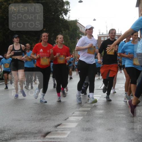 13.09.2026 - Kiel Lauf Markus Tischler http://msf.ph/oto/10321881 13.09.2026 10:55:54 Fleethörn 11613, 7856, 3237 meine-sportfotos.de