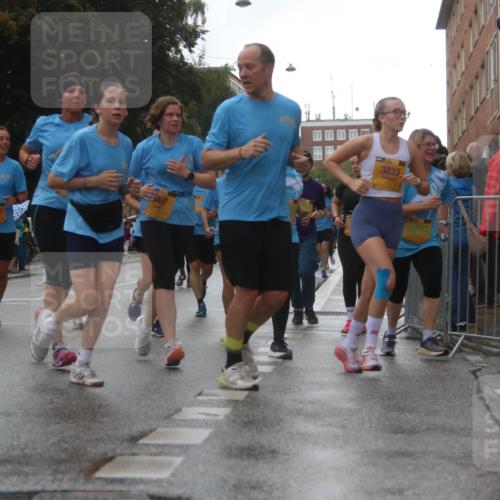 13.09.2026 - Kiel Lauf Markus Tischler http://msf.ph/oto/10322028 13.09.2026 10:56:10 Fleethörn 10135, 5497, 3833 meine-sportfotos.de